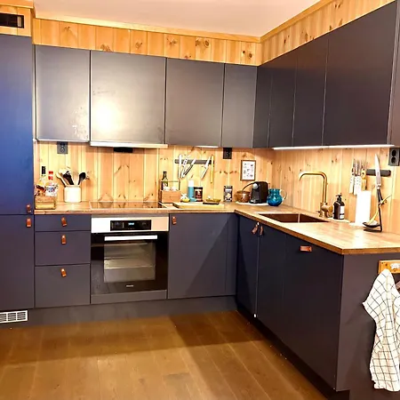 Elegant 2 bedroom ski in, ski out apartment next to Fyri Resort in Hemsedal Hemsedal